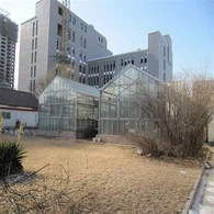 Karantæne Og Inspektion Drivhus